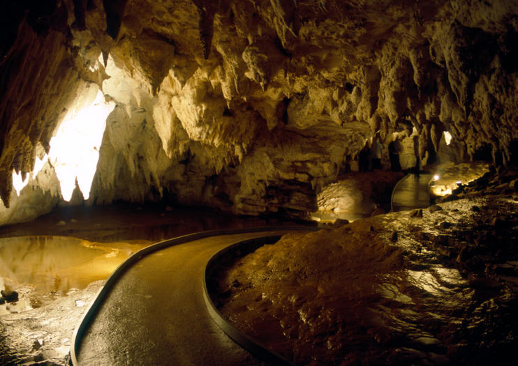 Waitomo Caves